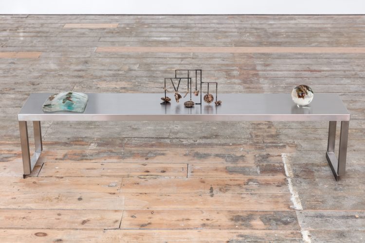 Chloé Quenum (Exhibitions)