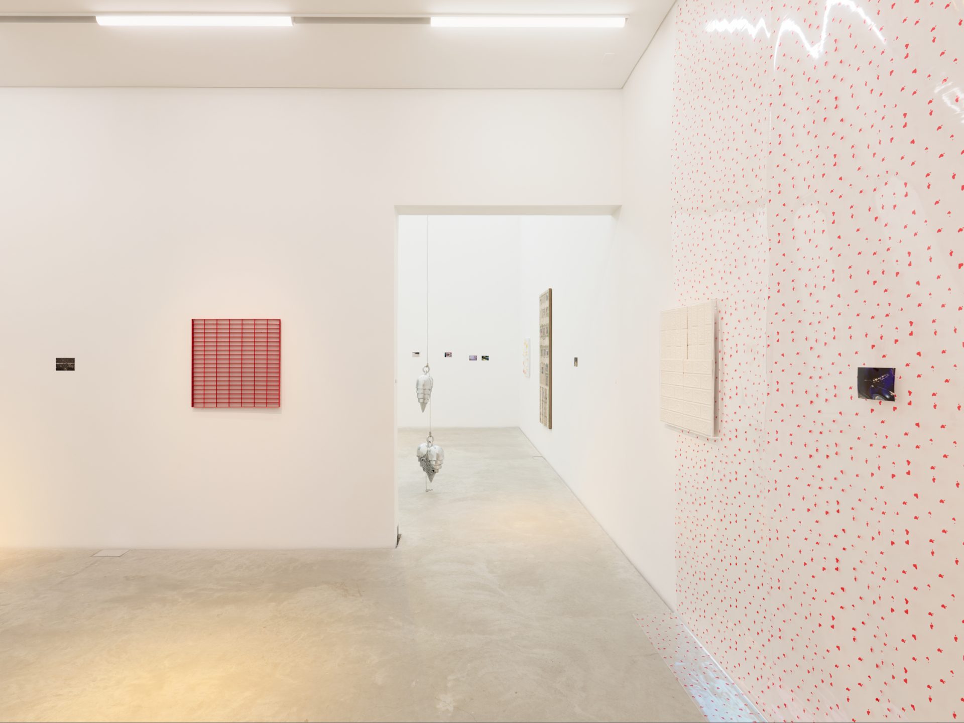 Mimosa Echard (Exhibitions)