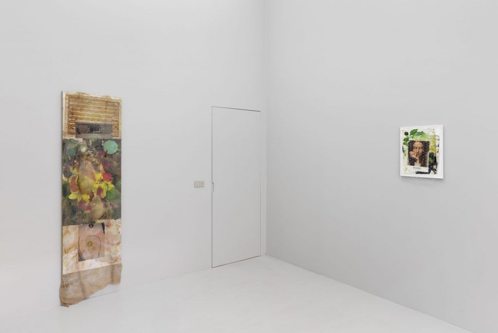 Mimosa Echard (Exhibitions)