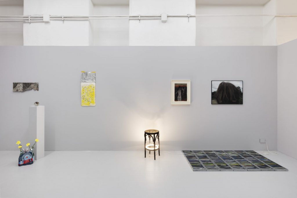 Sylvie Auvray (Exhibitions)