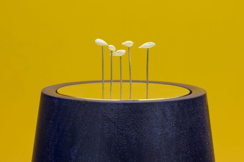 Santo Tolone (Exhibitions)