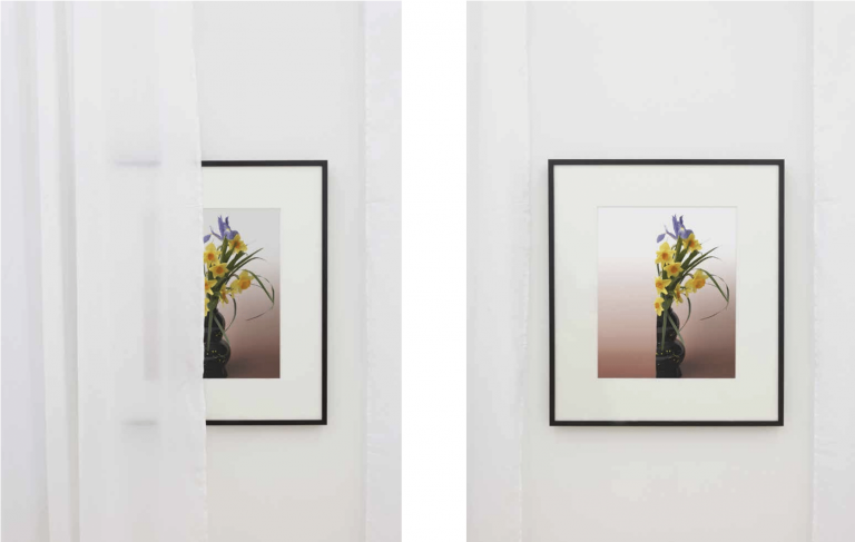 Santo Tolone (Exhibitions)