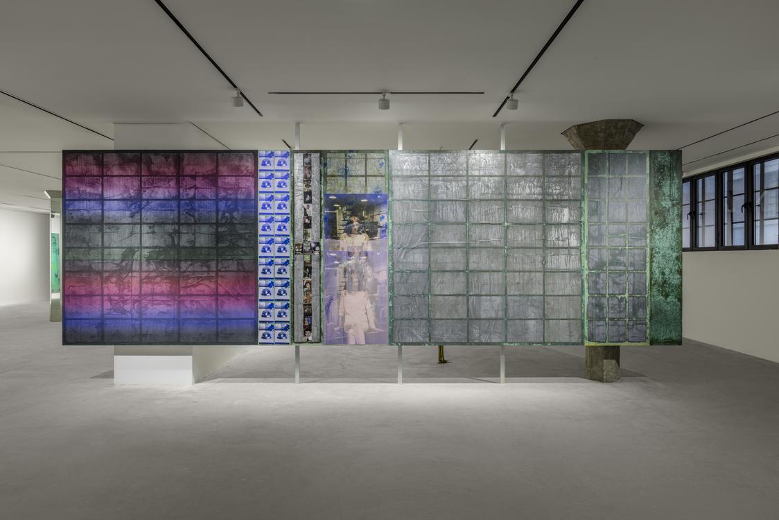 Mimosa Echard (Exhibitions)